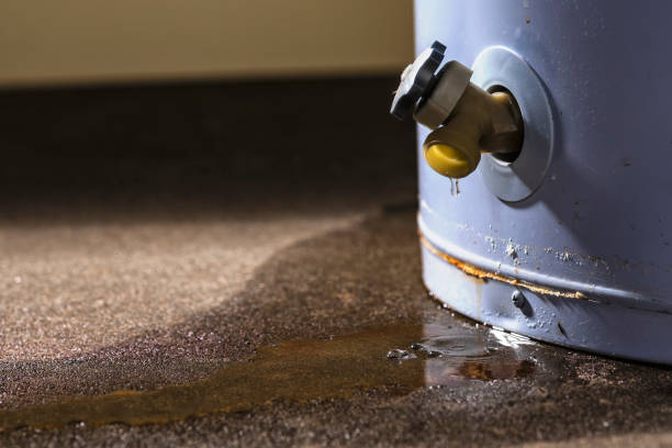 Best Mold removal after water damage  in Weddington, NC