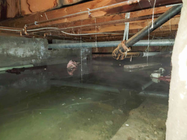 Sewage cleanup and water damage restoration in Weddington, NC
