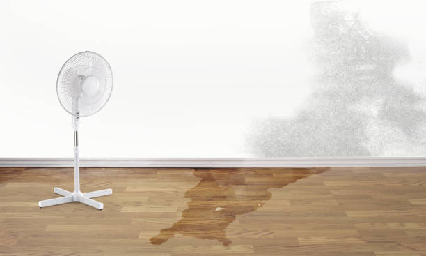 Best Water damage restoration near me  in Weddington, NC