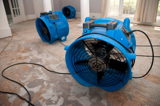 Best Local water damage restoration  in Weddington, NC