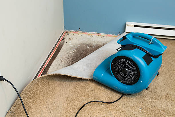 Best Sewage cleanup and water damage restoration  in Weddington, NC